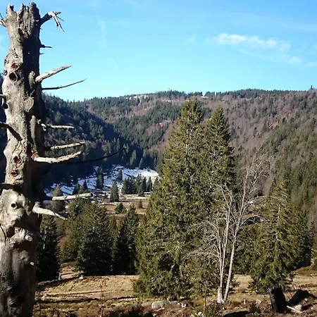 Grosses Gruppenhaus - Ideal Fuer Familien & Retreats Дом отдыха Санкт-Блазиен